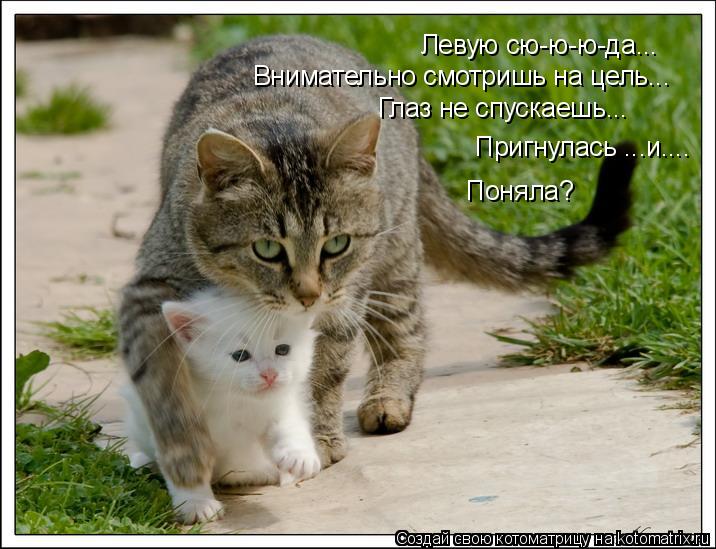 Левую сю-ю-ю-да... Поняла? Пригнулась ...и.... Внимательно смотришь на цель... Глаз не спускаешь...... Котоматрица: Левую сю-ю-ю-да... Поняла? Пригнулась ...и.... Внимательно смотришь на цель... Глаз не спускаешь...