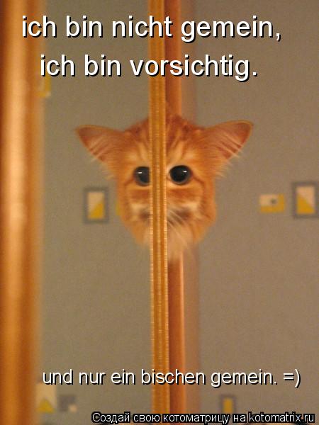 ich bin nicht gemein, ich bin vorsichtig. und nur ein bischen gemein. =)... Котоматрица: ich bin nicht gemein, ich bin vorsichtig. und nur ein bischen gemein. =)