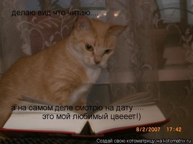 делаю вид что читаю.... а на самом деле смотрю на дату ...... это мой любимый цвееет!)... Котоматрица: делаю вид что читаю.... а на самом деле смотрю на дату ...... это мой любимый цвееет!)