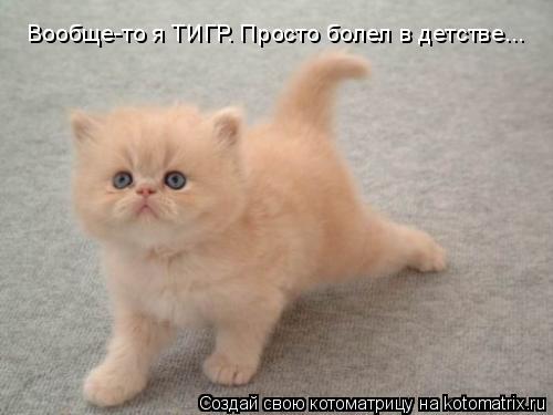 Вообще-то я ТИГР. Просто болел в детстве...... Котоматрица: Вообще-то я ТИГР. Просто болел в детстве...