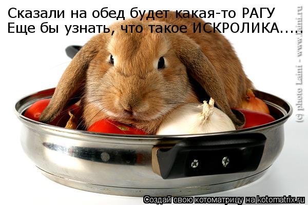 Сказали на обед будет какая-то РАГУ Еще бы узнать, что такое ИСКРОЛИКА........ Котоматрица: Сказали на обед будет какая-то РАГУ Еще бы узнать, что такое ИСКРОЛИКА.....