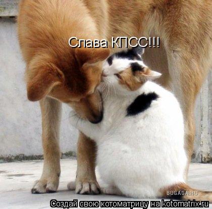 Слава КПСС!!!... Котоматрица: Слава КПСС!!!