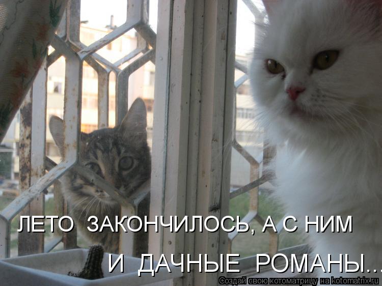 ЛЕТО ЗАКОНЧИЛОСЬ, А С НИМ И ДАЧНЫЕ РОМАНЫ...... Котоматрица: ЛЕТО ЗАКОНЧИЛОСЬ, А С НИМ И ДАЧНЫЕ РОМАНЫ...