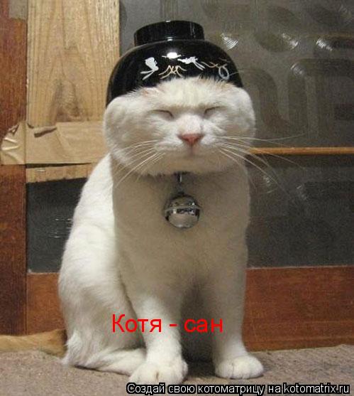 Котя - сан... Котоматрица: Котя - сан