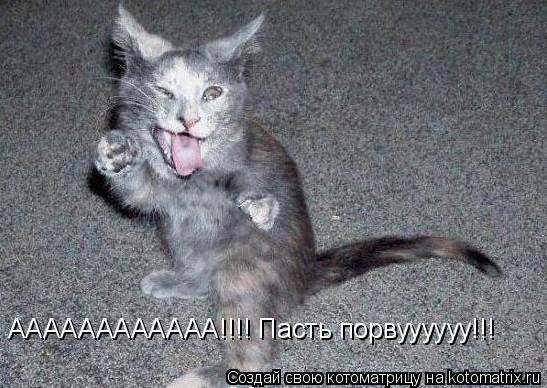 АААААААААААА!!!! Пасть порвуууууу!!!... Котоматрица: АААААААААААА!!!! Пасть порвуууууу!!!