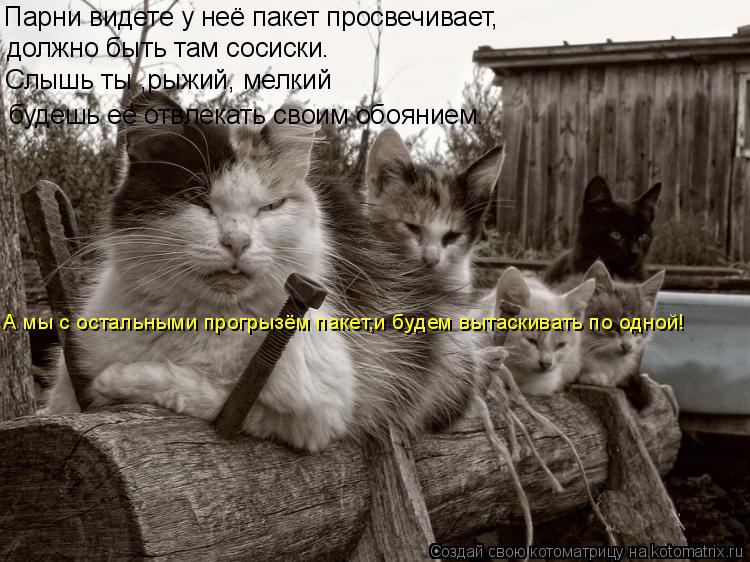 Парни видете у неё пакет просвечивает, должно быть там сосиски. Слышь ты ,рыжий, мелкий будешь её отв... Котоматрица: Парни видете у неё пакет просвечивает, должно быть там сосиски. Слышь ты ,рыжий, мелкий будешь её отвлекать своим обоянием. А мы с остальными