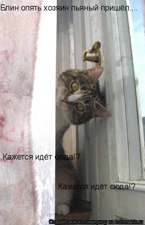 Блин опять хозяин пьяный пришёл.... Кажется идёт сюда!? Кажется идёт сюда!?... Котоматрица: Блин опять хозяин пьяный пришёл.... Кажется идёт сюда!? Кажется идёт сюда!?