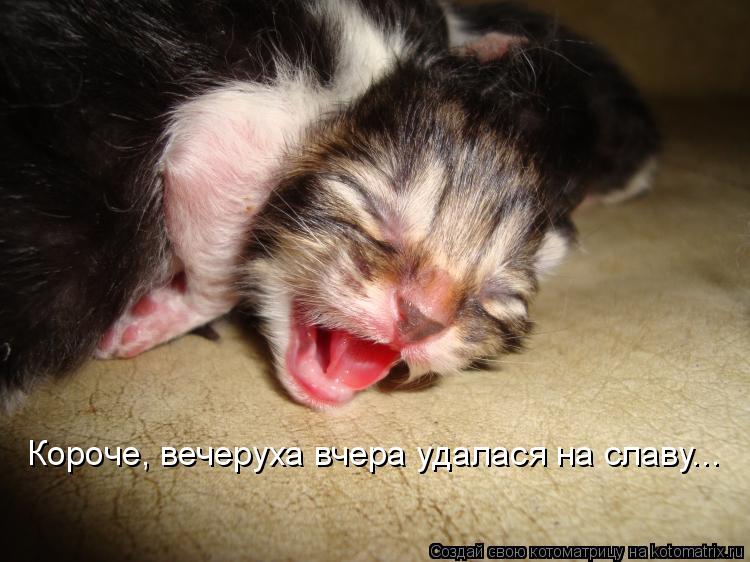 Короче, вечеруха вчера удалася на славу...... Котоматрица: Короче, вечеруха вчера удалася на славу...