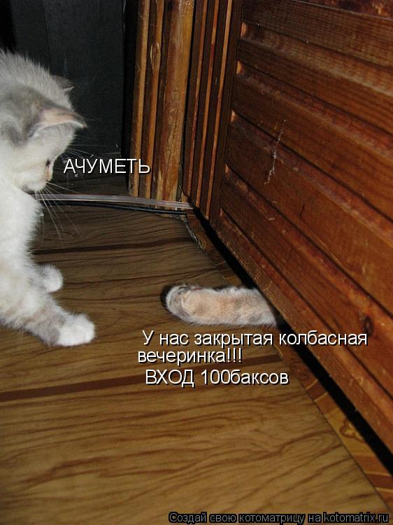 У нас закрытая колбасная вечеринка!!! ВХОД 100баксов АЧУМЕТЬ... Котоматрица: У нас закрытая колбасная вечеринка!!! ВХОД 100баксов АЧУМЕТЬ