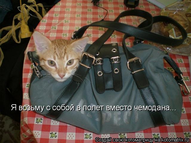 Я возьму с собой в полет вместо чемодана...... Котоматрица: Я возьму с собой в полет вместо чемодана...