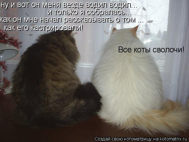 ну и вот он меня везде водил водил... и только я собралась... как он мне начал рассказывать о том ...... Котоматрица: ну и вот он меня везде водил водил... и только я собралась... как он мне начал рассказывать о том ... как его кастрировали! Все коты сволочи!