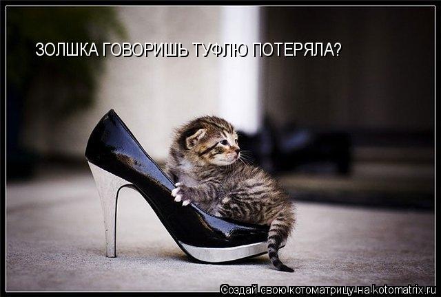 ЗОЛШКА ГОВОРИШЬ ТУФЛЮ ПОТЕРЯЛА?... Котоматрица: ЗОЛШКА ГОВОРИШЬ ТУФЛЮ ПОТЕРЯЛА?