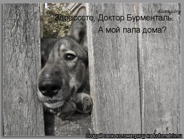 Здрасссте, Доктор Бурменталь. А мой папа дома?... Котоматрица: Здрасссте, Доктор Бурменталь. А мой папа дома?
