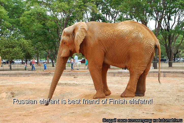 Russian elefant is best friend of Finish elefatnt!... Котоматрица: Russian elefant is best friend of Finish elefatnt!
