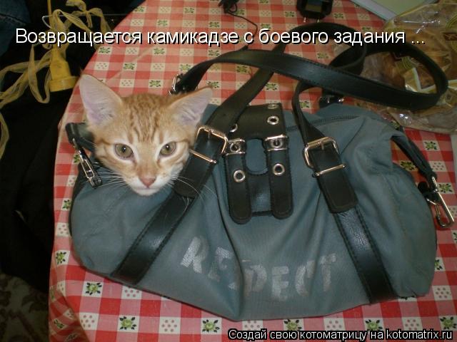 Возвpащается камикадзе с боевого задания ...... Котоматрица: Возвpащается камикадзе с боевого задания ...