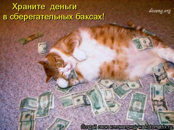 Храните деньги в сберегательных баксах!... Котоматрица: Храните деньги в сберегательных баксах!