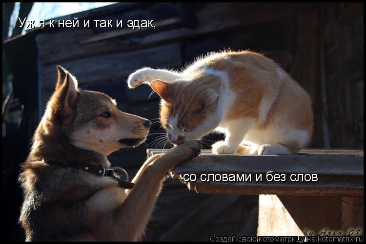 Уж я к ней и так и эдак, со словами и без слов... Котоматрица: Уж я к ней и так и эдак, со словами и без слов