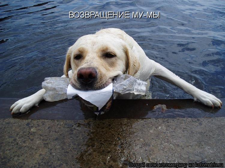 ВОЗВРАЩЕНИЕ МУ-МЫ... Котоматрица: ВОЗВРАЩЕНИЕ МУ-МЫ