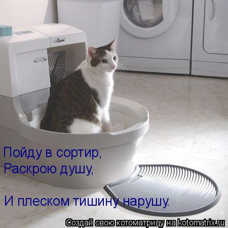 Пойду в сортир, Раскрою душу, И плеском тишину нарушу.... Котоматрица: Пойду в сортир, Раскрою душу, И плеском тишину нарушу.