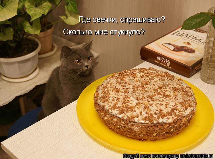 Где свечки, спрашиваю? Сколько мне стукнуло?... Котоматрица: Где свечки, спрашиваю? Сколько мне стукнуло?