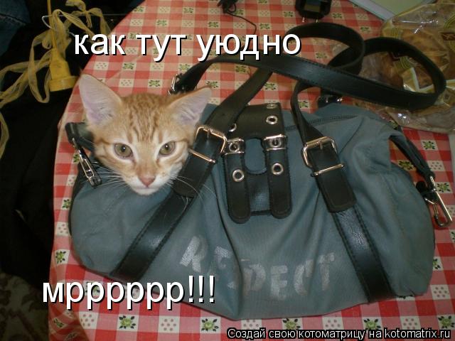 как тут уюдно мрррррр!!!... Котоматрица: как тут уюдно мрррррр!!!