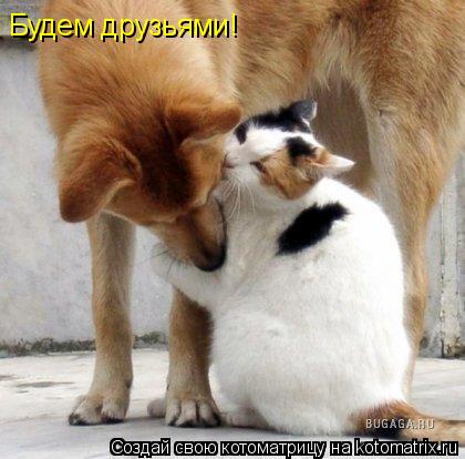 Будем друзьями!... Котоматрица: Будем друзьями!