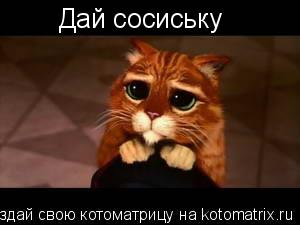 Дай сосиську... Котоматрица: Дай сосиську