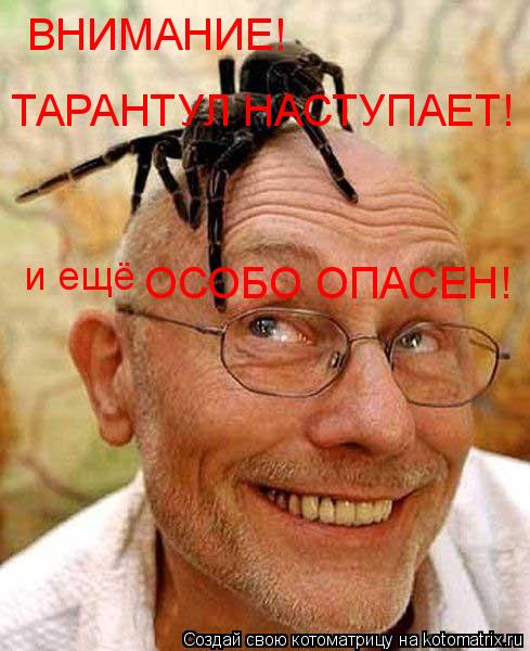 ВНИМАНИЕ! ТАРАНТУЛ НАСТУПАЕТ! и ещё ОСОБО ОПАСЕН!... Котоматрица: ВНИМАНИЕ! ТАРАНТУЛ НАСТУПАЕТ! и ещё ОСОБО ОПАСЕН!
