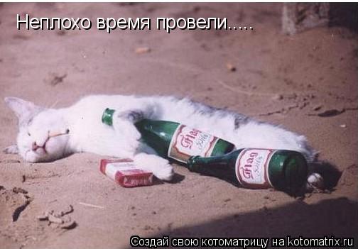 Неплохо время провели........ Котоматрица: Неплохо время провели.....