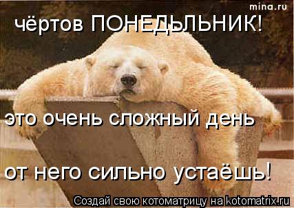 чёртов ПОНЕДЬЛЬНИК! это очень сложный день от него сильно устаёшь!... Котоматрица: чёртов ПОНЕДЬЛЬНИК! это очень сложный день от него сильно устаёшь!