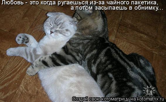 Любовь - это когда ругаешься из-за чайного пакетика, а потом засыпаешь в обнимку...... Котоматрица: Любовь - это когда ругаешься из-за чайного пакетика, а потом засыпаешь в обнимку...