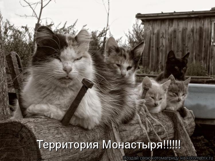 Территория Монастыря!!!!!!... Котоматрица: Территория Монастыря!!!!!!