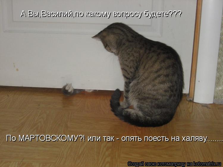 А Вы,Василий,по какому вопросу будете??? По МАРТОВСКОМУ?! или так - опять поесть на халяву............ Котоматрица: А Вы,Василий,по какому вопросу будете??? По МАРТОВСКОМУ?! или так - опять поесть на халяву.........