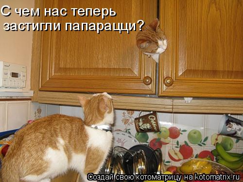 С чем нас теперь застигли папарацци?... Котоматрица: С чем нас теперь застигли папарацци?