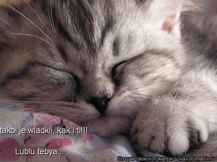 takoi je wladkii, kak i ti!!! Lublu tebya...... Котоматрица: takoi je wladkii, kak i ti!!! Lublu tebya...