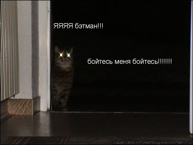 ЯЯЯЯ бэтман!!! бойтесь меня бойтесь!!!!!!!... Котоматрица: ЯЯЯЯ бэтман!!! бойтесь меня бойтесь!!!!!!!