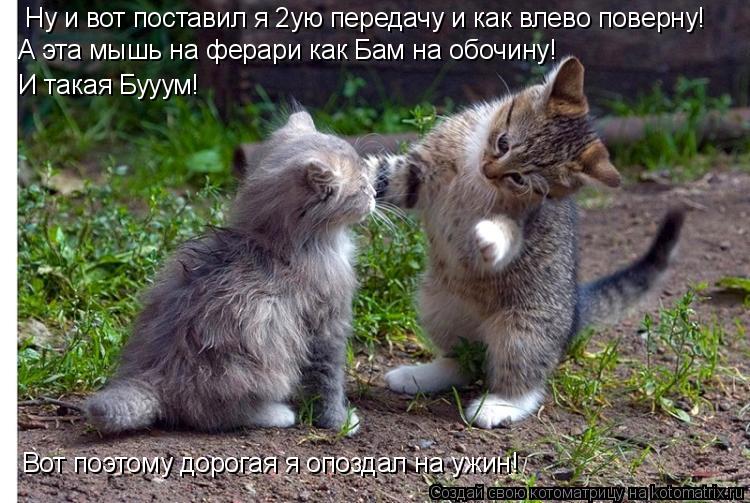 Ну и вот поставил я 2ую передачу и как влево поверну! А эта мышь на ферари как Бам на обочину! И така... Котоматрица: Ну и вот поставил я 2ую передачу и как влево поверну! А эта мышь на ферари как Бам на обочину! И такая Бууум! Вот поэтому дорогая я опоздал на у