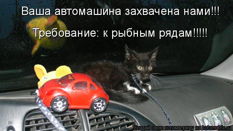 Ваша автомашина захвачена нами!!! Требование: к рыбным рядам!!!!!... Котоматрица: Ваша автомашина захвачена нами!!! Требование: к рыбным рядам!!!!!