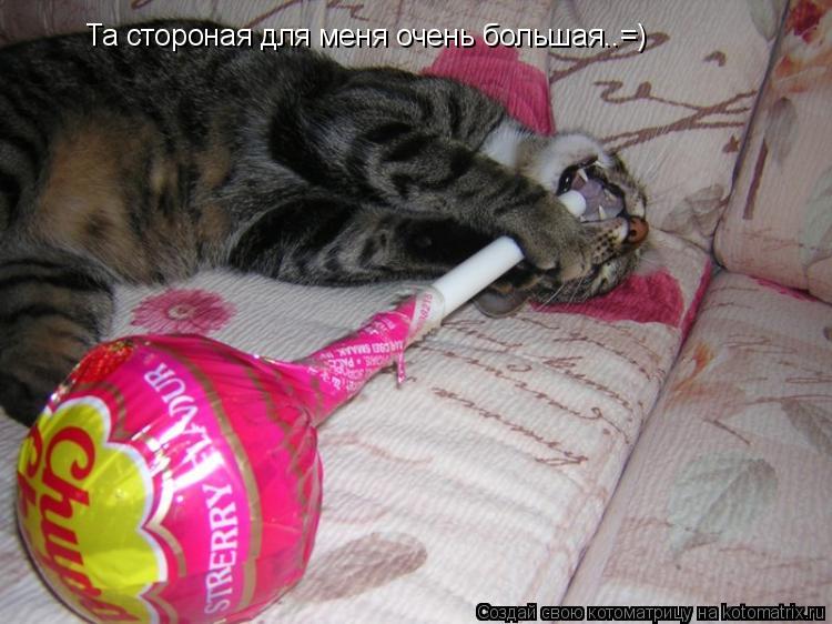 Та стороная для меня очень большая..=)... Котоматрица: Та стороная для меня очень большая..=)