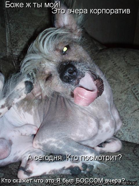 Боже ж ты мой! Это вчера корпоратив А сегодня: Кто посмотрит? Кто скажет что это Я был БОССОМ вчера?... Котоматрица: Боже ж ты мой! Это вчера корпоратив А сегодня: Кто посмотрит? Кто скажет что это Я был БОССОМ вчера?