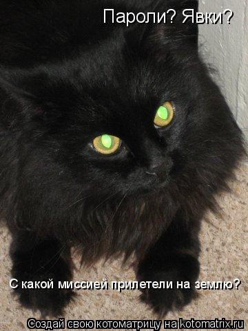 Пароли? Явки? С какой миссией прилетели на землю?... Котоматрица: Пароли? Явки? С какой миссией прилетели на землю?