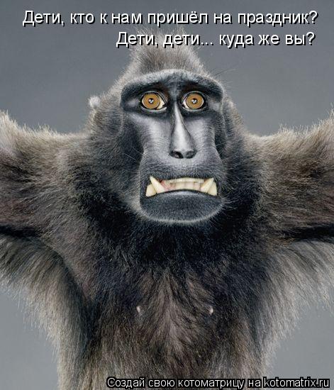 Котоматрица: Дети, кто к нам пришёл на праздник? Дети, дети... куда же вы?