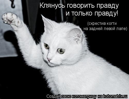 Котоматрица: Клянусь говорить правду и только правду! (скрестив когти на задней левой лапе)
