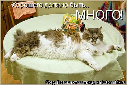 Хорошего должно быть.. МНОГО !... Котоматрица: Хорошего должно быть.. МНОГО !