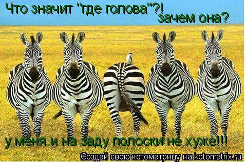 Что значит "где голова"?! зачем она? у меня и на заду полоски не хуже!!!... Котоматрица: Что значит "где голова"?! зачем она? у меня и на заду полоски не хуже!!!