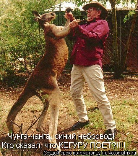 Чунга-чанга, синий небосвод! Кто сказал, что КЕГУРУ ПОЕТ?!!!!... Котоматрица: Чунга-чанга, синий небосвод! Кто сказал, что КЕГУРУ ПОЕТ?!!!!