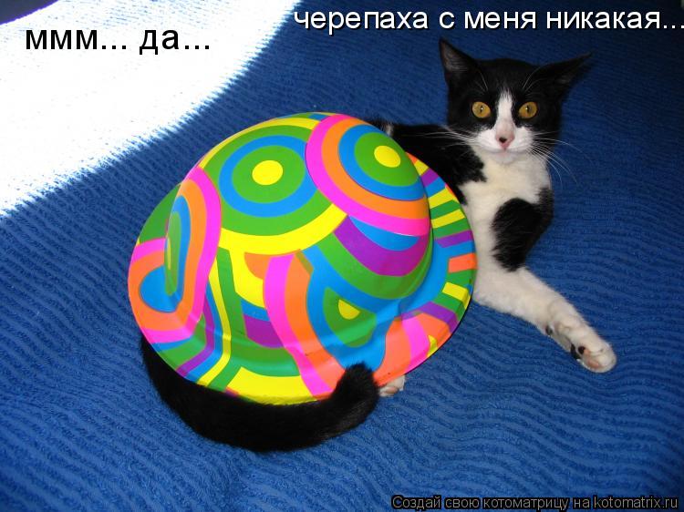 Котоматрица: ммм... да...   черепаха с меня никакая...