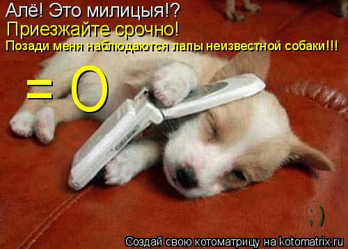 Алё! Это милицыя!? Приезжайте срочно! Позади меня наблюдаются лапы неизвестной собаки!!! = О ; )... Котоматрица: Алё! Это милицыя!? Приезжайте срочно! Позади меня наблюдаются лапы неизвестной собаки!!! = О ; )