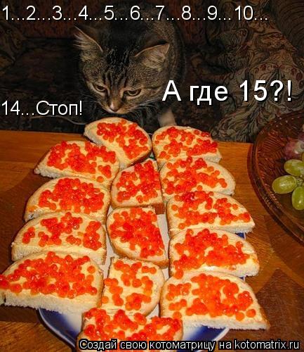 1...2...3...4...5...6...7...8...9...10... 14...Стоп! А где 15?!... Котоматрица: 1...2...3...4...5...6...7...8...9...10... 14...Стоп! А где 15?!