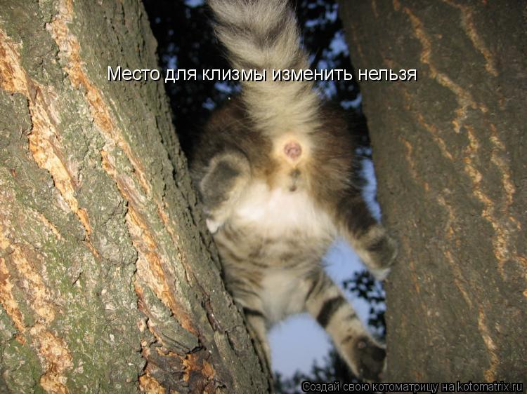 Место для клизмы изменить нельзя... Котоматрица: Место для клизмы изменить нельзя
